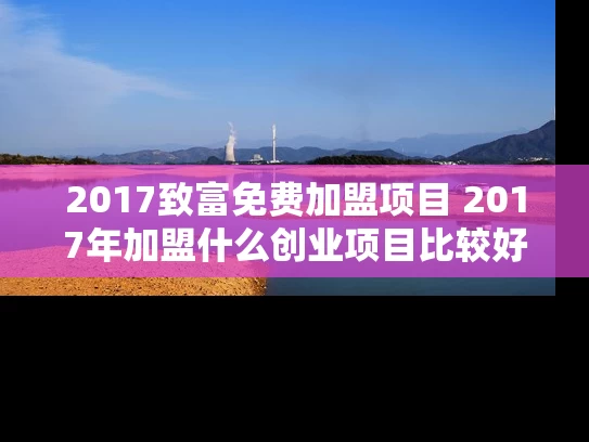2017致富免费加盟项目 2017年加盟什么创业项目比较好