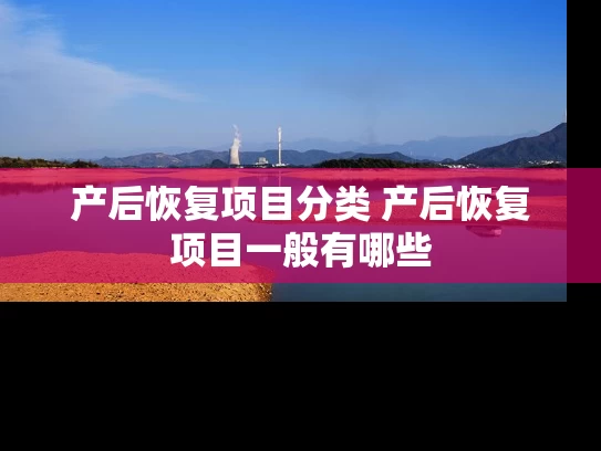 产后恢复项目分类 产后恢复项目一般有哪些