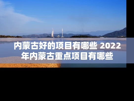 内蒙古好的项目有哪些 2022年内蒙古重点项目有哪些