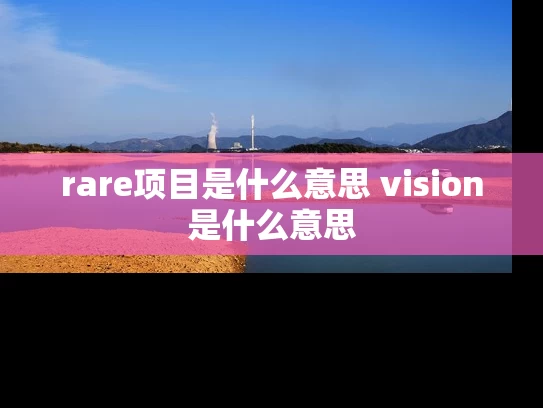 rare项目是什么意思 vision是什么意思