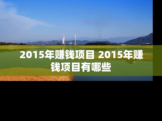 2015年赚钱项目 2015年赚钱项目有哪些