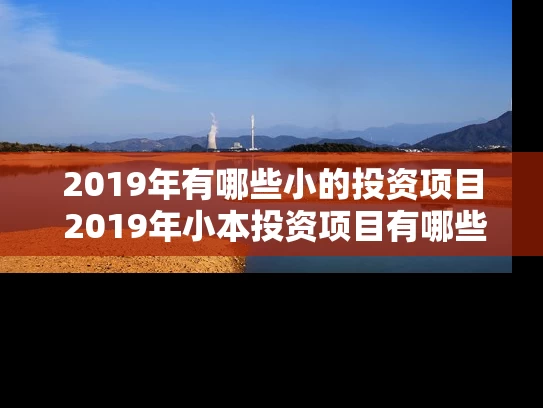 2019年有哪些小的投资项目 2019年小本投资项目有哪些