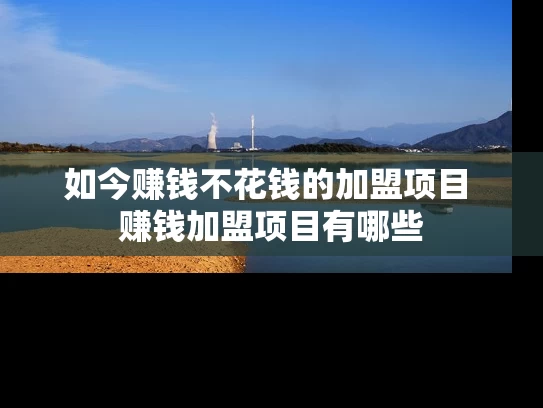 如今赚钱不花钱的加盟项目 赚钱加盟项目有哪些