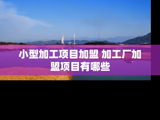 小型加工项目加盟 加工厂加盟项目有哪些