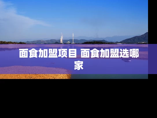 面食加盟项目 面食加盟选哪家
