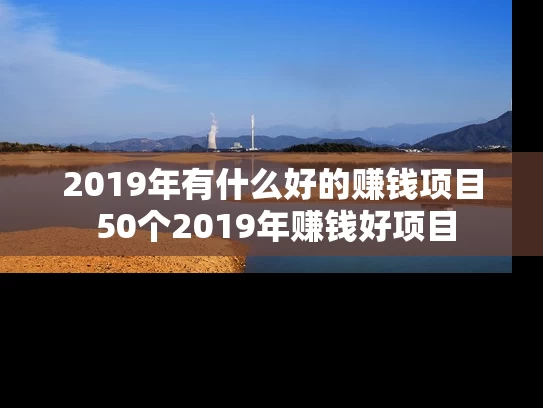 2019年有什么好的赚钱项目 50个2019年赚钱好项目