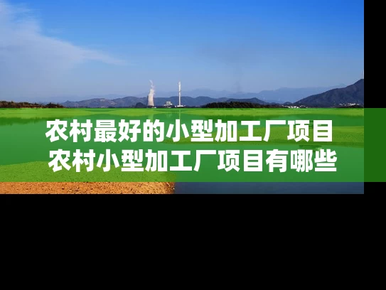 农村最好的小型加工厂项目 农村小型加工厂项目有哪些