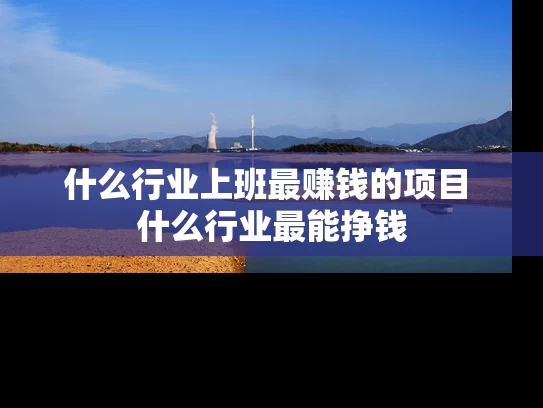 什么行业上班最赚钱的项目 什么行业最能挣钱