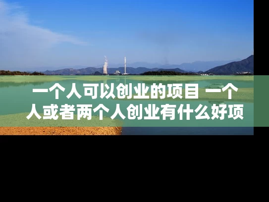 一个人可以创业的项目 一个人或者两个人创业有什么好项目