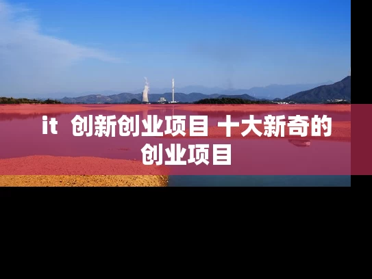it  创新创业项目 十大新奇的创业项目