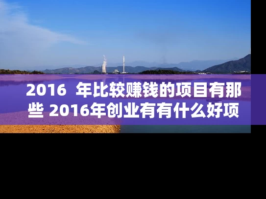 2016  年比较赚钱的项目有那些 2016年创业有有什么好项目赚到钱