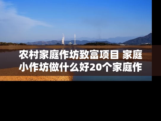 农村家庭作坊致富项目 家庭小作坊做什么好20个家庭作坊致富项目