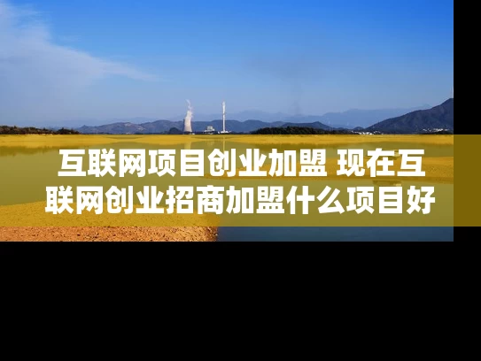 互联网项目创业加盟 现在互联网创业招商加盟什么项目好