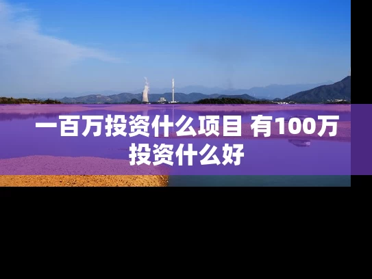 一百万投资什么项目 有100万投资什么好