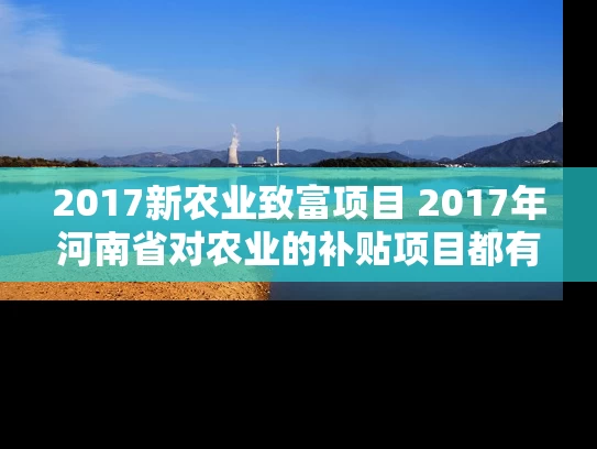 2017新农业致富项目 2017年河南省对农业的补贴项目都有哪些