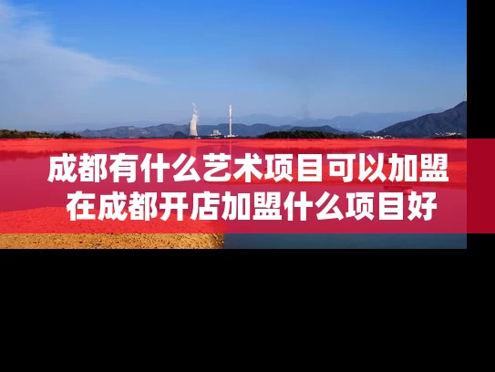 成都有什么艺术项目可以加盟 在成都开店加盟什么项目好