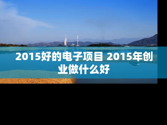 2015好的电子项目 2015年创业做什么好
