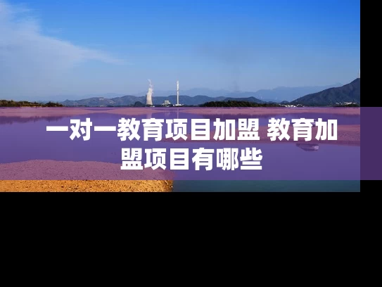 一对一教育项目加盟 教育加盟项目有哪些