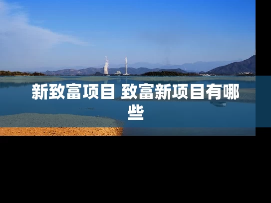 新致富项目 致富新项目有哪些
