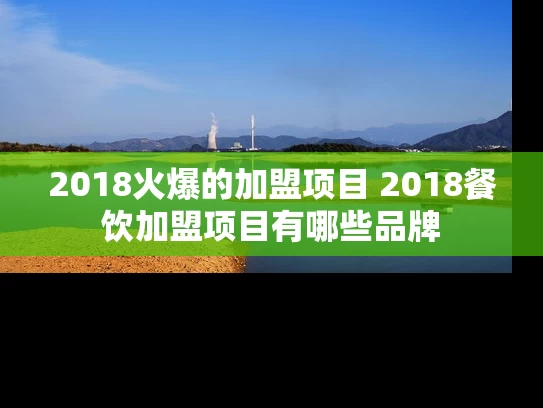 2018火爆的加盟项目 2018餐饮加盟项目有哪些品牌