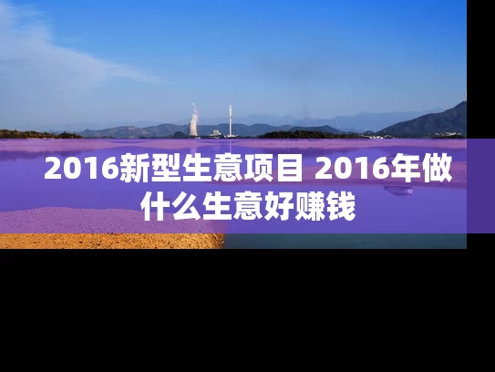 2016新型生意项目 2016年做什么生意好赚钱