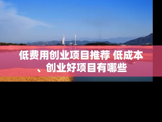 低费用创业项目推荐 低成本、创业好项目有哪些