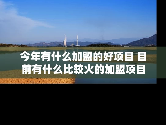 今年有什么加盟的好项目 目前有什么比较火的加盟项目