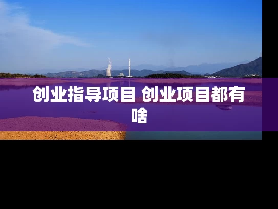 创业指导项目 创业项目都有啥