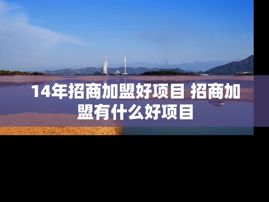 14年招商加盟好项目 招商加盟有什么好项目