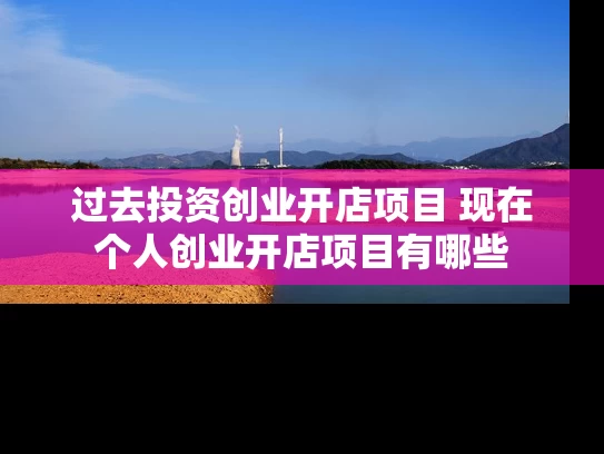 过去投资创业开店项目 现在个人创业开店项目有哪些