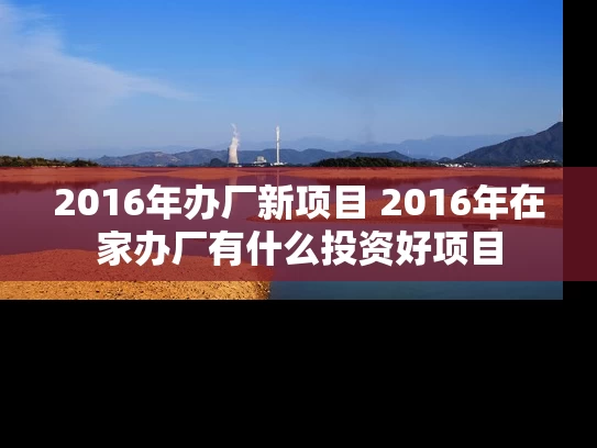 2016年办厂新项目 2016年在家办厂有什么投资好项目