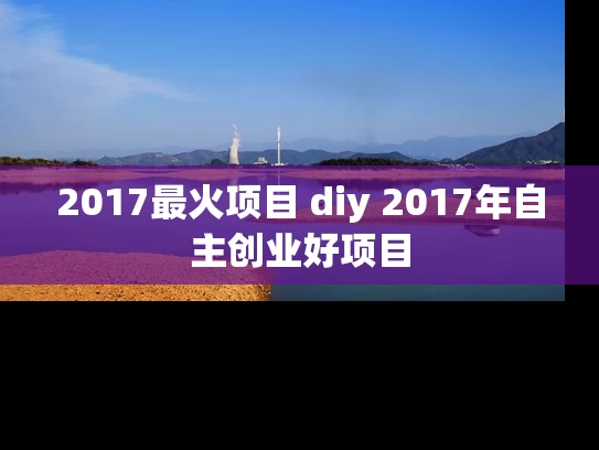 2017最火项目 diy 2017年自主创业好项目