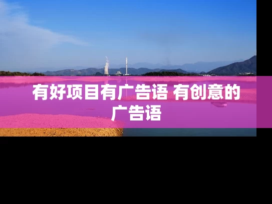 有好项目有广告语 有创意的广告语
