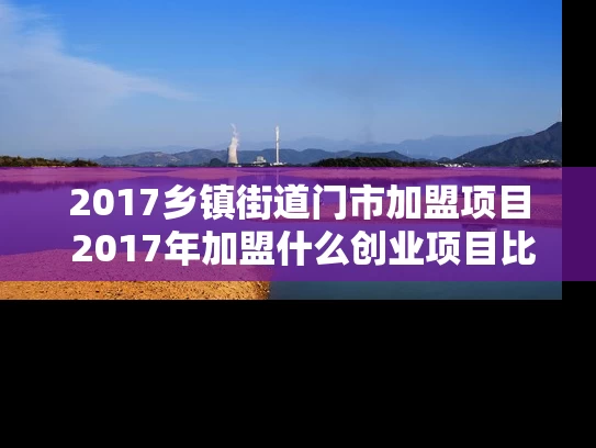 2017乡镇街道门市加盟项目 2017年加盟什么创业项目比较好