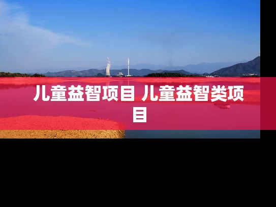 儿童益智项目 儿童益智类项目