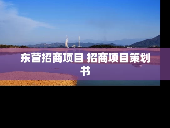 东营招商项目 招商项目策划书