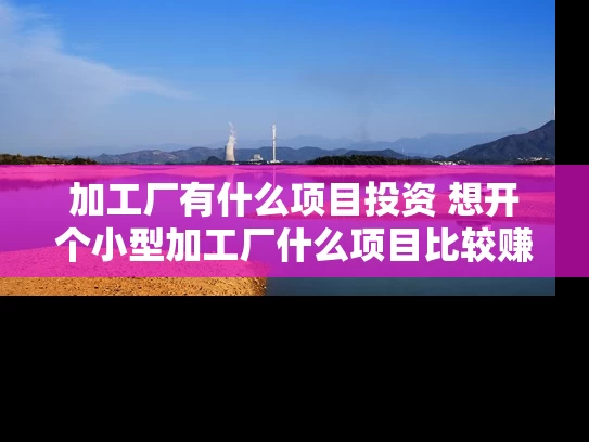 加工厂有什么项目投资 想开个小型加工厂什么项目比较赚钱