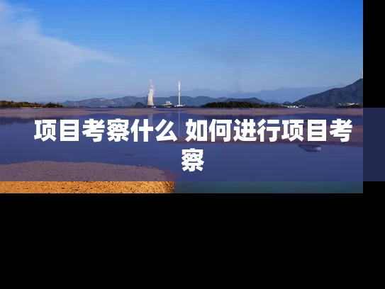 项目考察什么 如何进行项目考察