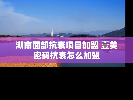 湖南面部抗衰项目加盟 壹美密码抗衰怎么加盟