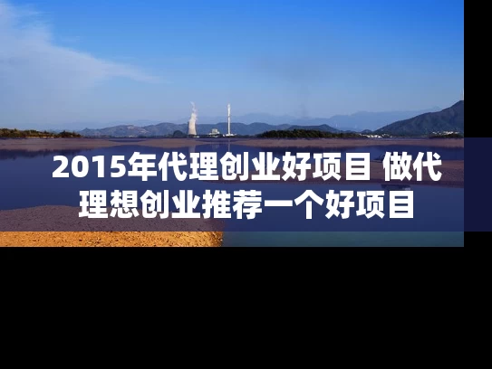 2015年代理创业好项目 做代理想创业推荐一个好项目