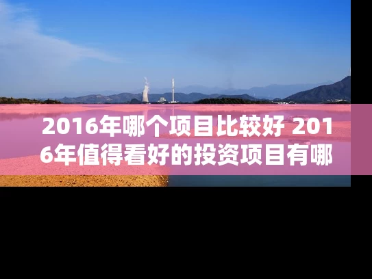 2016年哪个项目比较好 2016年值得看好的投资项目有哪些