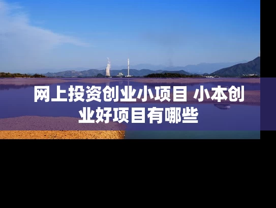 网上投资创业小项目 小本创业好项目有哪些