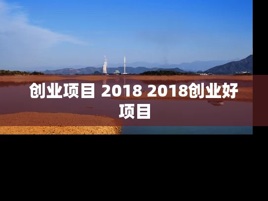 创业项目 2018 2018创业好项目