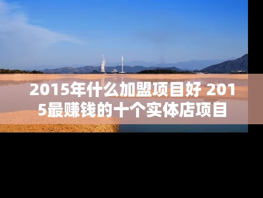 2015年什么加盟项目好 2015最赚钱的十个实体店项目