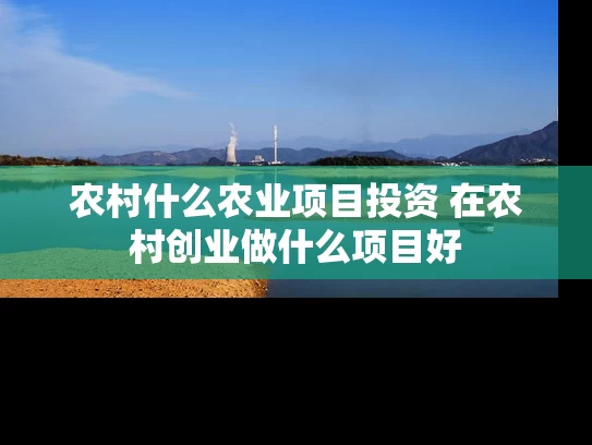 农村什么农业项目投资 在农村创业做什么项目好