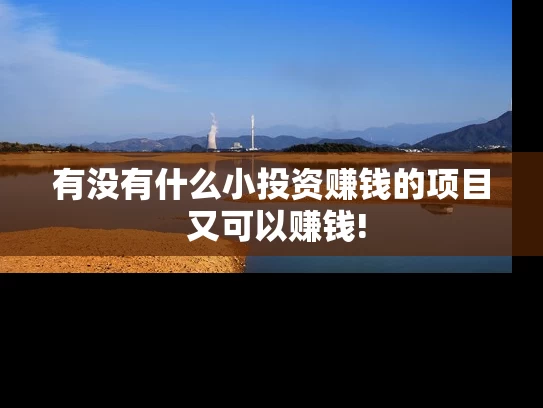 有没有什么小投资赚钱的项目 又可以赚钱!