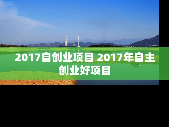 2017自创业项目 2017年自主创业好项目