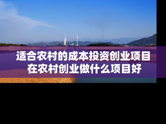 适合农村的成本投资创业项目 在农村创业做什么项目好