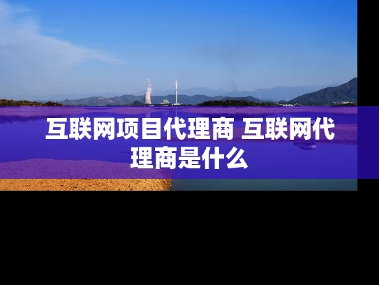互联网项目代理商 互联网代理商是什么