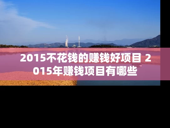 2015不花钱的赚钱好项目 2015年赚钱项目有哪些